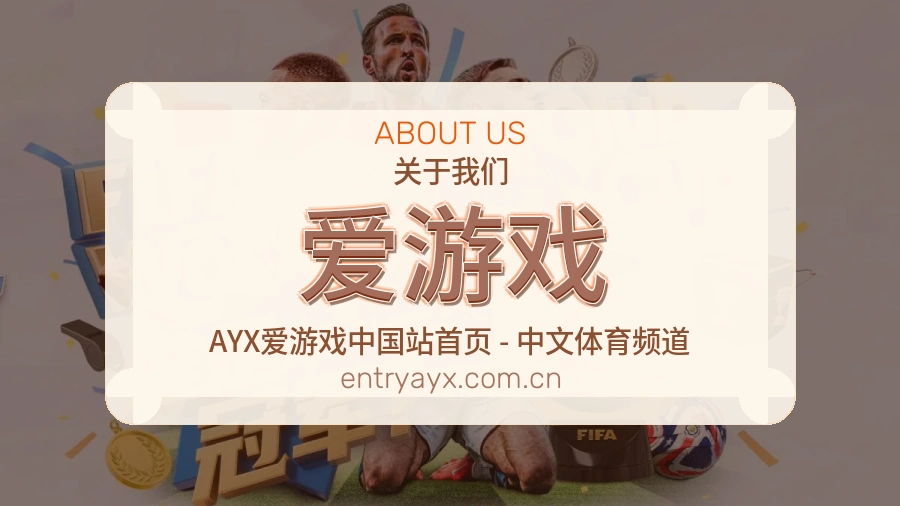 爱游戏服务说明